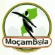 /images/football/competition/1664cf9b521b65847f5fe1f61137da8f.webp!h80