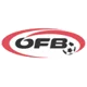 /images/football/competition/3ab376a0854caee3acdf17c5e3a269d7.webp!h80