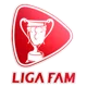 /images/football/competition/42940f3a00298940024764d4adab1888.webp!h80