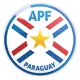 /images/football/competition/5314ebccc336a53ac378d736cd03a65d.webp!h80