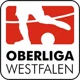 /images/football/competition/e19634cd900d3172c66f4d2563705857.webp!h80