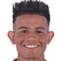 05bdd0785138ef8b11cae8fbe5b480c1.webp