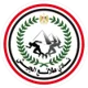 /images/football/team/034494d615691afe65c5a21afeae872c.webp!h80