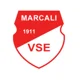 /images/football/team/08404f979c079e53d00dfe2e30cd89cb.webp!h80