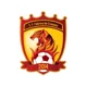 /images/football/team/0a31a309862dfbd5c8d91ce6787a84d5.webp!h80
