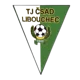 TJ Libouchec