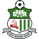 /images/football/team/119b5ff9220dbe090aa10f44fe74bc73.webp!h80