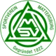 /images/football/team/1a2f6e7b3750b444d8e39122eada179f.webp!h80