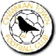 Cwmbran Town