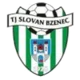/images/football/team/1e3cab433aa0780200515cc345ba594e.webp!h80