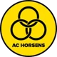 /images/football/team/203bec28a5e25d3a9edd03ed0c5ba86a.webp!h80