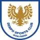 /images/football/team/23184d4df8fb45f4e0de26ce3a2a99c4.webp!h80