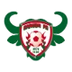 /images/football/team/2405bd03a965133ef0e00fa30618e035.webp!h80