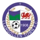 /images/football/team/288672c38f33846cb5e5fa919632fe9c.webp!h80