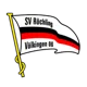 /images/football/team/292db3357ef2d44b644b89f32ed2f04d.webp!h80