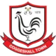 /images/football/team/2bc1eea6877df3fe2a89de6678d82077.webp!h80