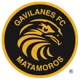 /images/football/team/2c7472742d242281c30a6a78525dbea1.webp!h80