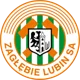 /images/football/team/2cd94a6b244156bc17e6950eca3a4ae0.webp!h80