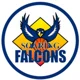 /images/football/team/2d5f781719484f4135fc29958e9cc5db.webp!h80