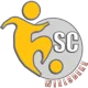 /images/football/team/335b62d40764a2a51906eb9f961fac8b.webp!h80