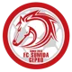 /images/football/team/337800457d2a586a161a8062d42f1f5a.webp!h80
