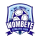 /images/football/team/359a36091a93bf8709f246958ff0f113.webp!h80