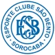 /images/football/team/3683b37ecb2f48f46ed9b88eea021ec7.webp!h80