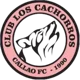 Los Cachorros FC