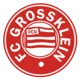 /images/football/team/36ece74e7db9eac6e9a85c013ea11b04.webp!h80