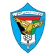/images/football/team/371148d95846b6f121fcdbfafdf7f287.webp!h80