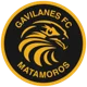 Gavilanes FC Matamoros II