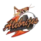 /images/football/team/3beff6c4cd987d7f6b4470a0f0c05479.webp!h80