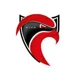/images/football/team/3fe3c17e041889cf1370ee4e00e5828e.webp!h80