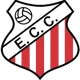 /images/football/team/41a9aea9941f074235f772f1461e7096.webp!h80