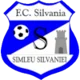/images/football/team/4254da8601293161315735f39f75c6f1.webp!h80