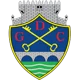 /images/football/team/42a738c8d4500857d340b1d7bb52c37d.webp!h80