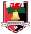 /images/football/team/42d9d5c7ba476d82ce1780968ba25215.webp!h50