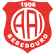 /images/football/team/4579b1213e350c0034d937fcccdb5763.webp!h80