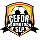 Cefor Promotora San Luis