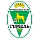 /images/football/team/477b8d13254dbcc4e7b5335771bcae58.webp!h80