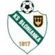 /images/football/team/4bebf4cccebb25bff16476fb66f25eac.webp!h80