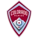 /images/football/team/4beda45843f48fe35bcf63328a82c780.webp!h80