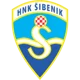 /images/football/team/4d7a3ef90b6000d6b2953637fd7d65d6.webp!h80