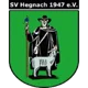 /images/football/team/54ab395b601edc1fac45383ef935b4b6.webp!h80