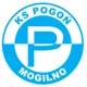 Pogon Moglino