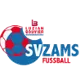 /images/football/team/57adb01e00f0f7c6d571220cf21b4e02.webp!h80