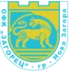 /images/football/team/5e6dedad9162247a9e6a5034b67bb3fe.webp!h80