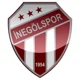 Inegolspor U19