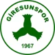 /images/football/team/6e589530aebd158918c4d15a68252dd2.webp!h80