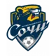 /images/football/team/6f2f50342dc0a240f8d65efd7e3023aa.webp!h80